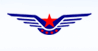 CAAC中国民航局徽章